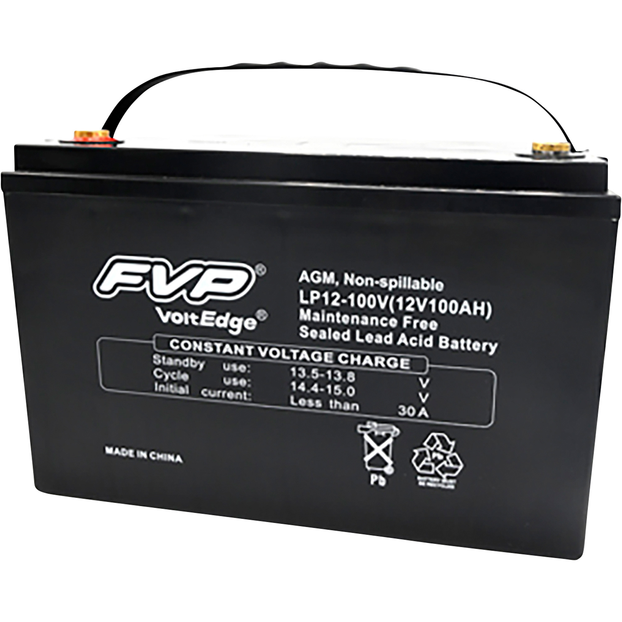 FVP Volt Edge Sealed Lead-Acid Battery, Commercial-Type, 12V, 110 Amps, Model# LP12-100V